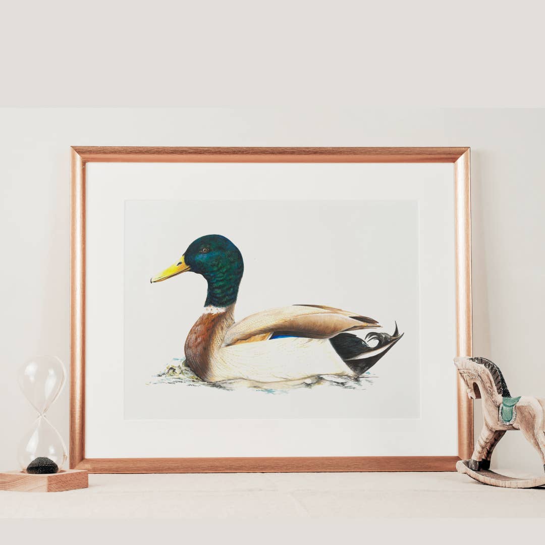 Plumes & Blossoms - Mallard Duck Print
