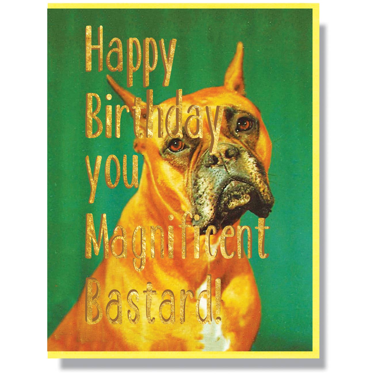 Smitten Kitten - Happy Birthday You Magnificent Bastard Card