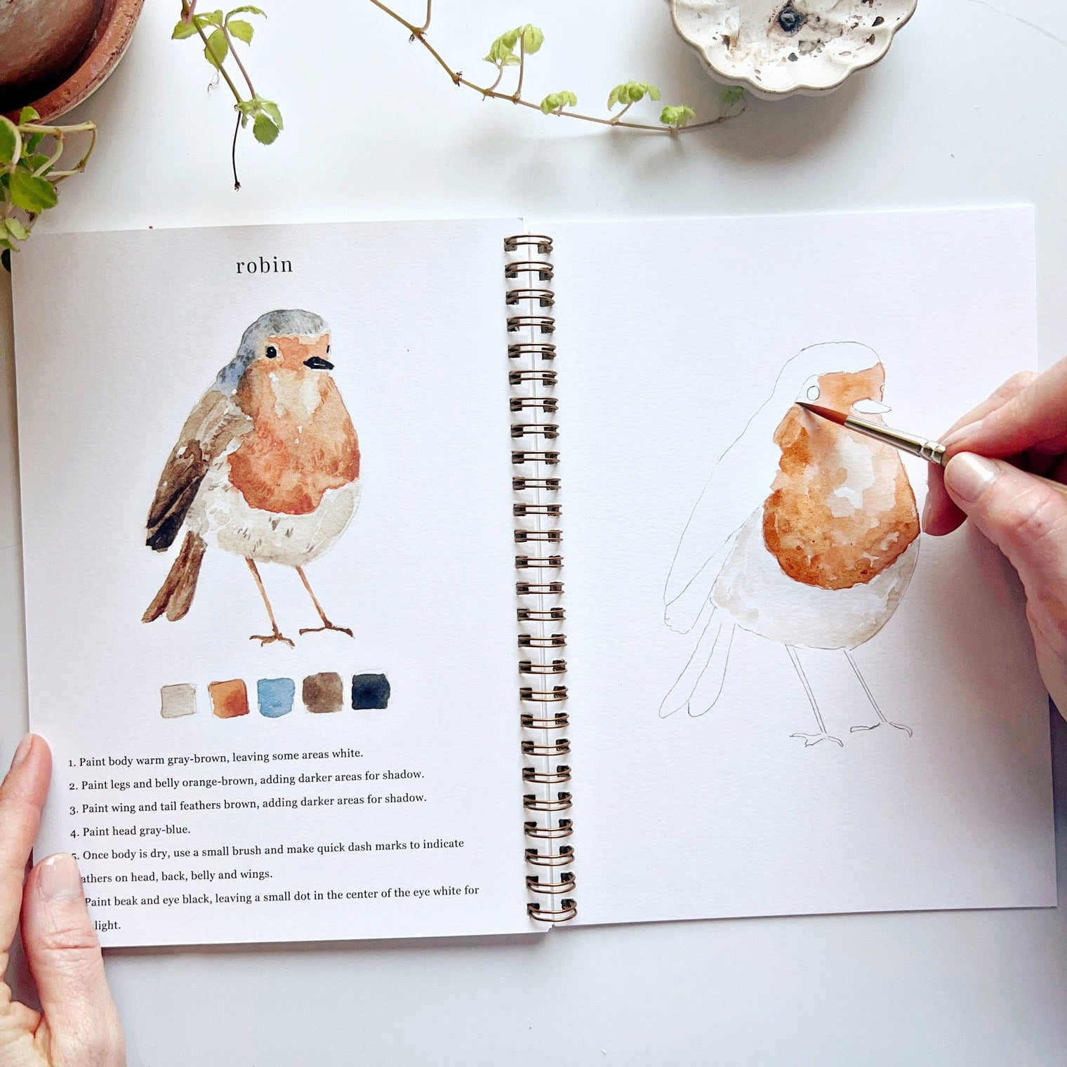 Birds Watercolour Workbook