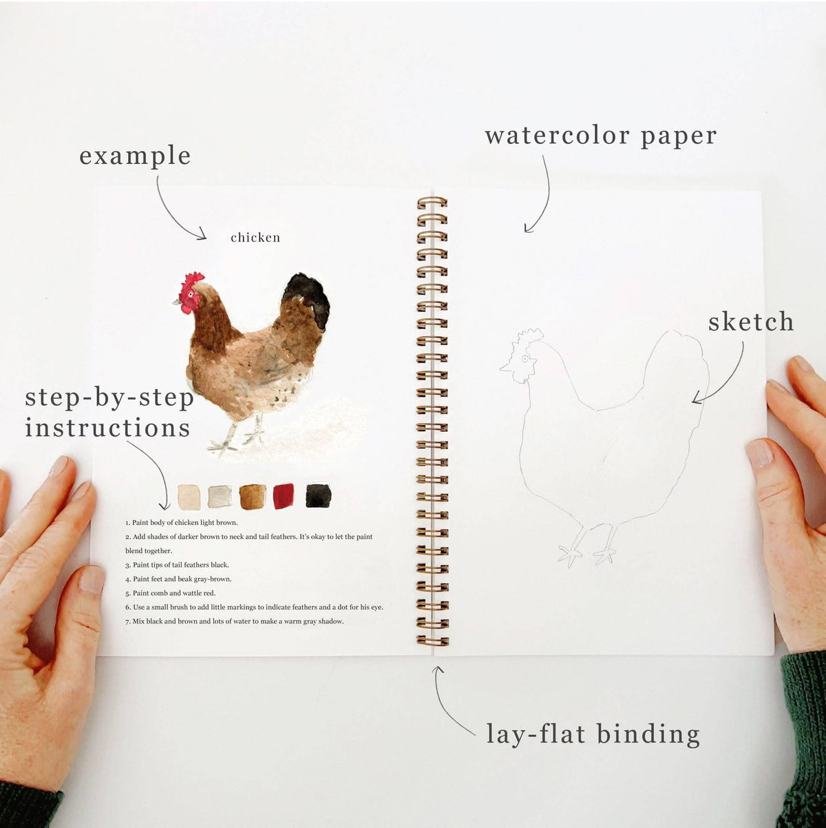 Emily Lex - Animals Watercolor Workbook