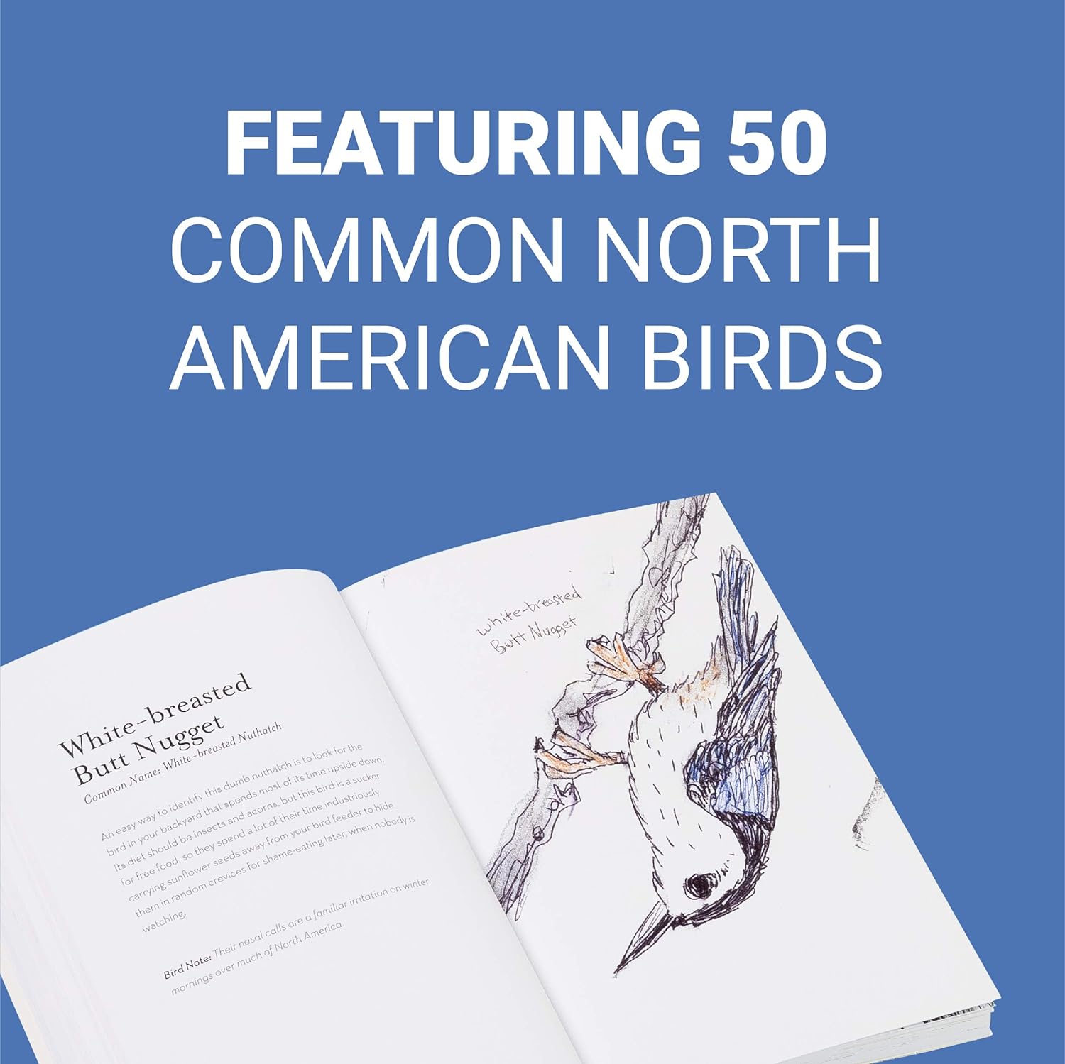 The Field Guide to Dumb Birds of North America