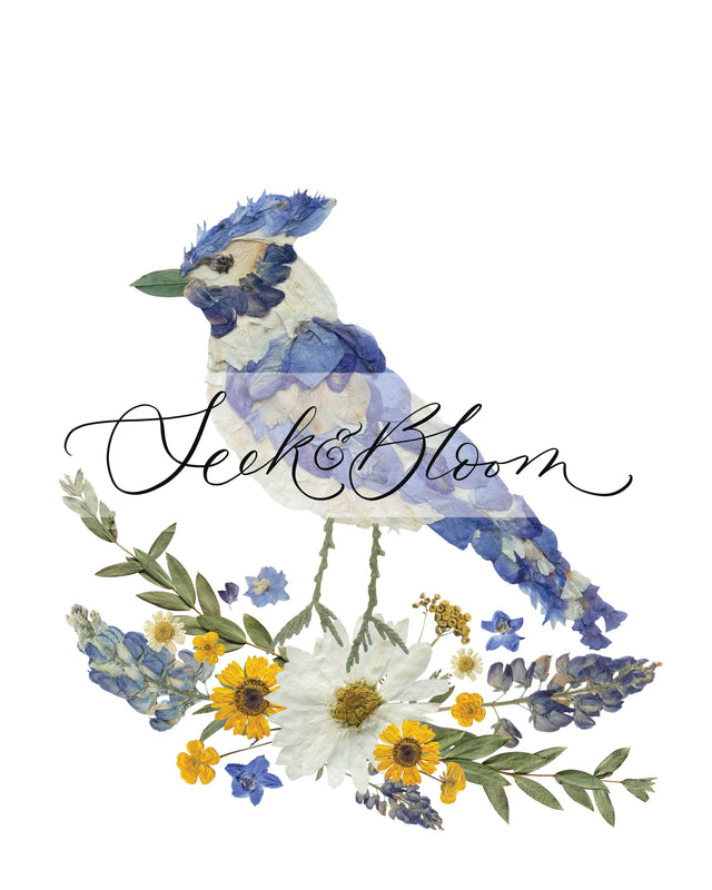 Seek & Bloom - Pressed Flower Blue Jay Print - 11x14