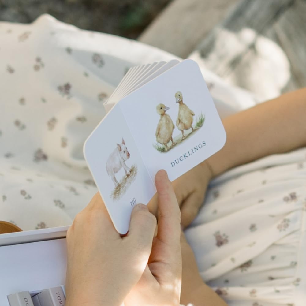 Our Very Little Library Board Book Set: A Foundational Language Vocabulary Board Book Set for Babies