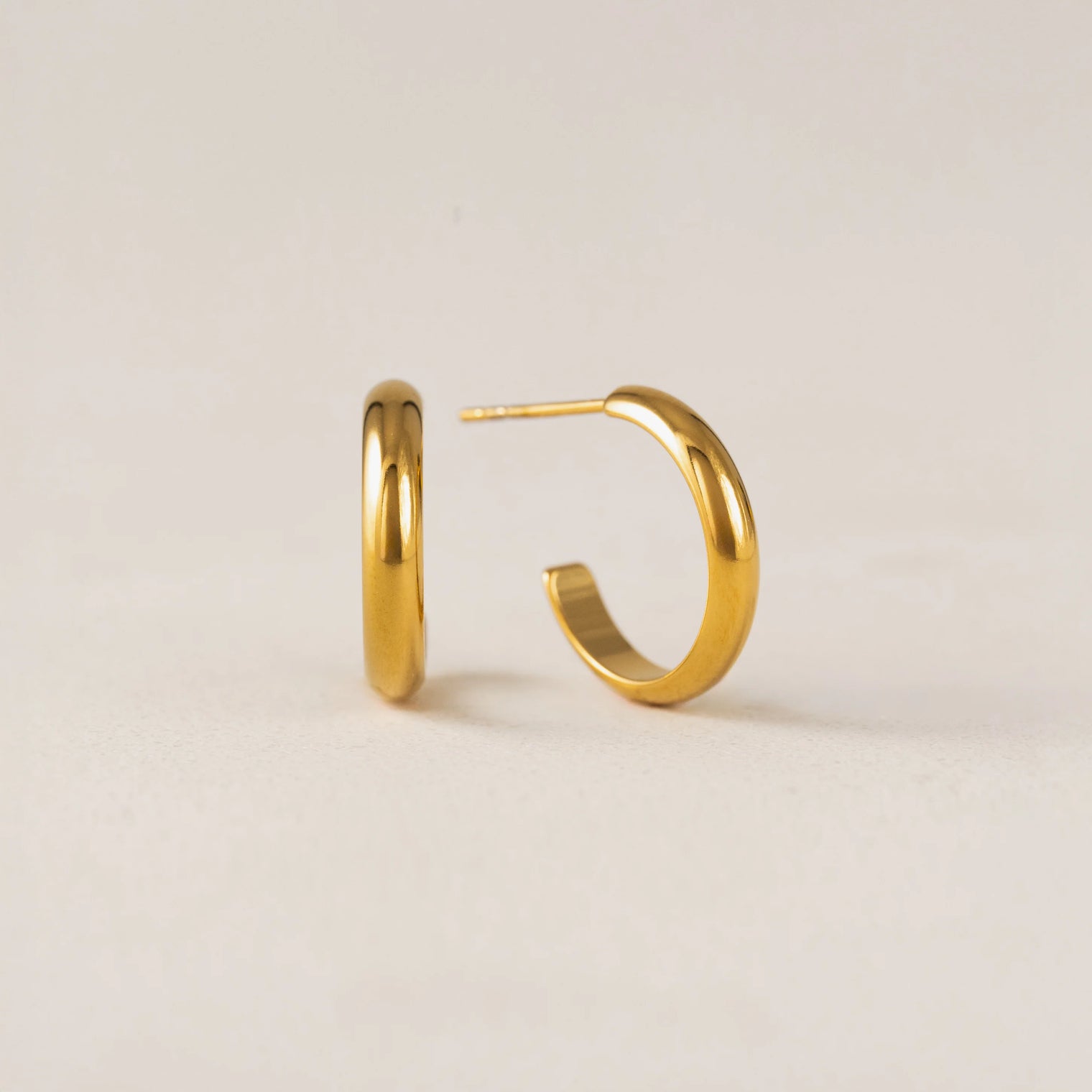 Sylvie Hoop Earrings