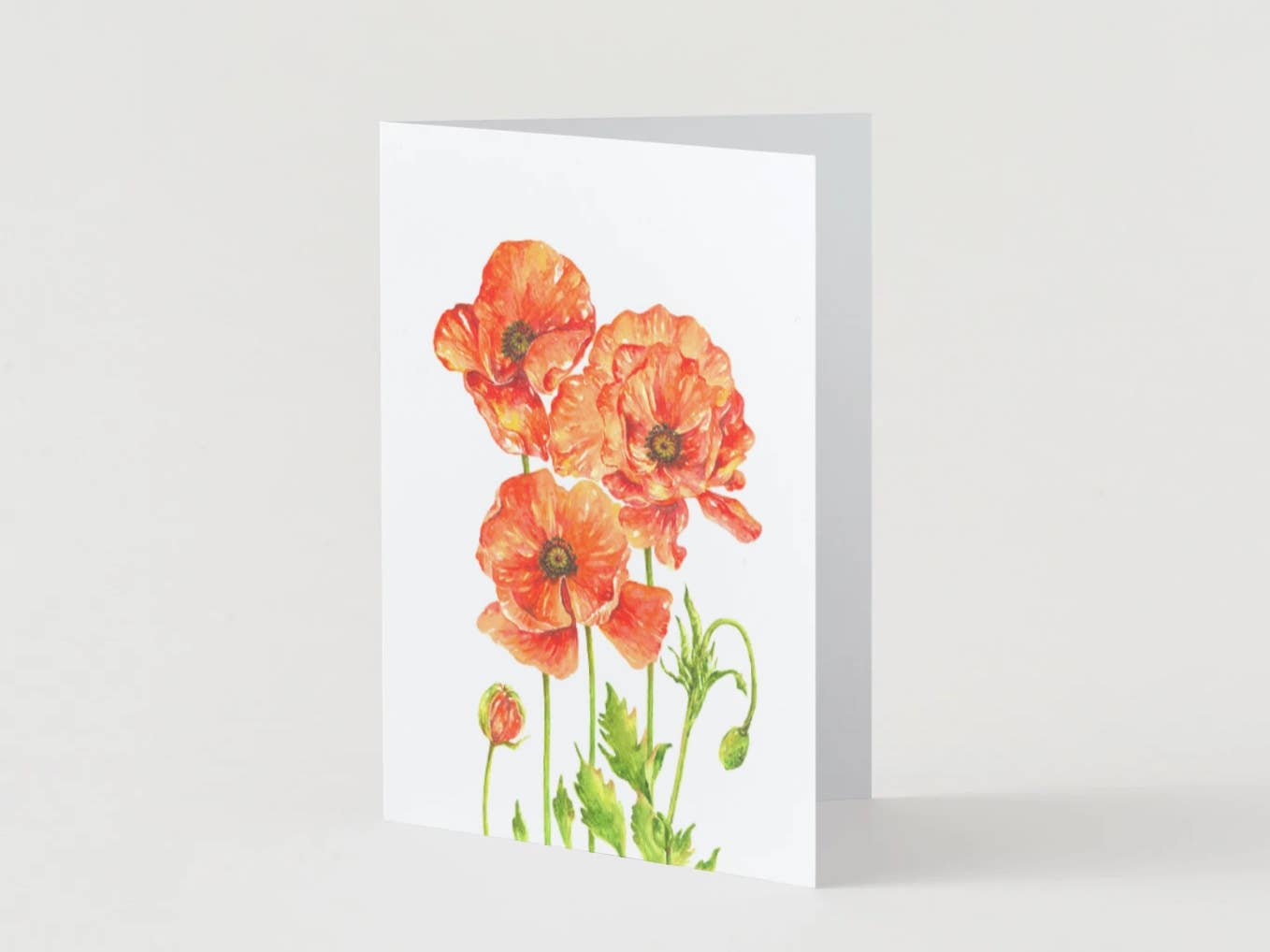 Plumes & Blossoms - Poppies Greeting Card