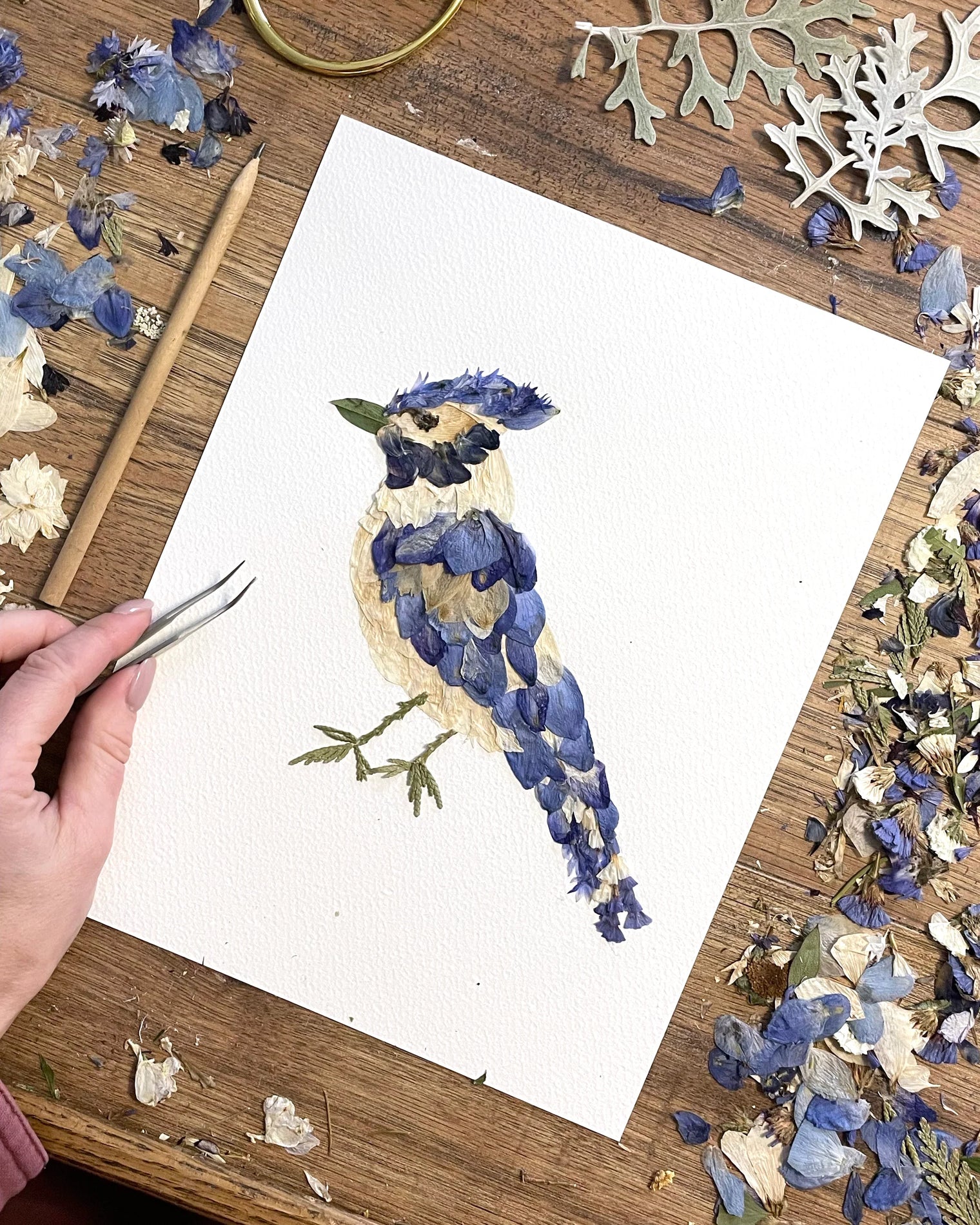 Seek & Bloom - Pressed Flower Blue Jay Print - 11x14