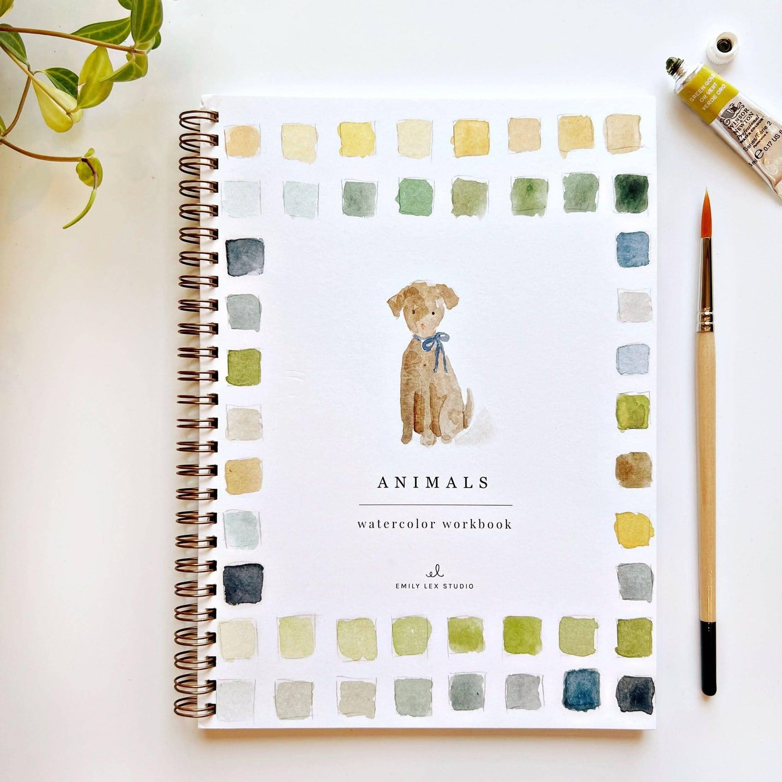 Emily Lex - Animals Watercolor Workbook