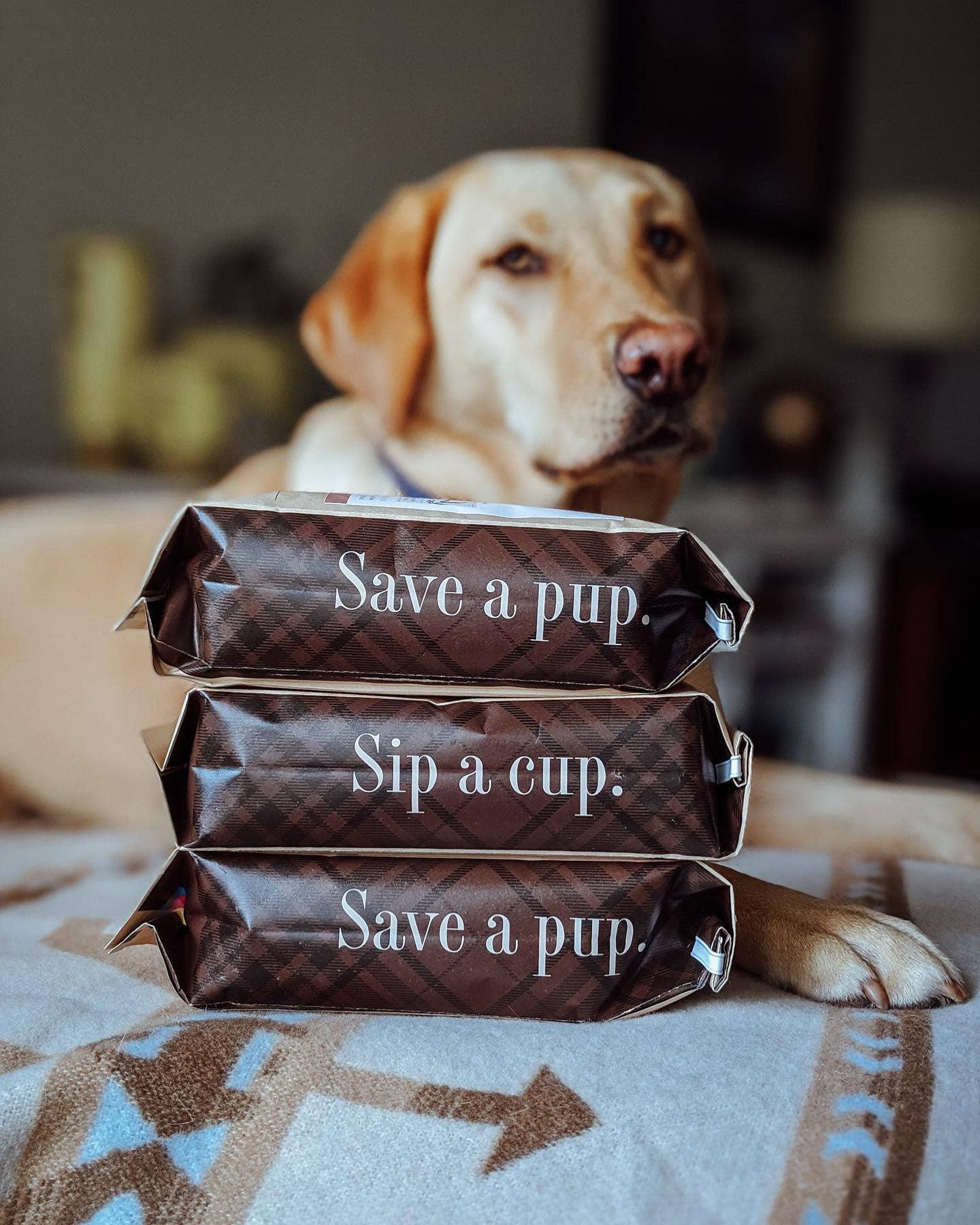 Rescue Coffee Co. - Go Fetch! | Medium-Dark Roast | 1lb Bag | Organic Coffee