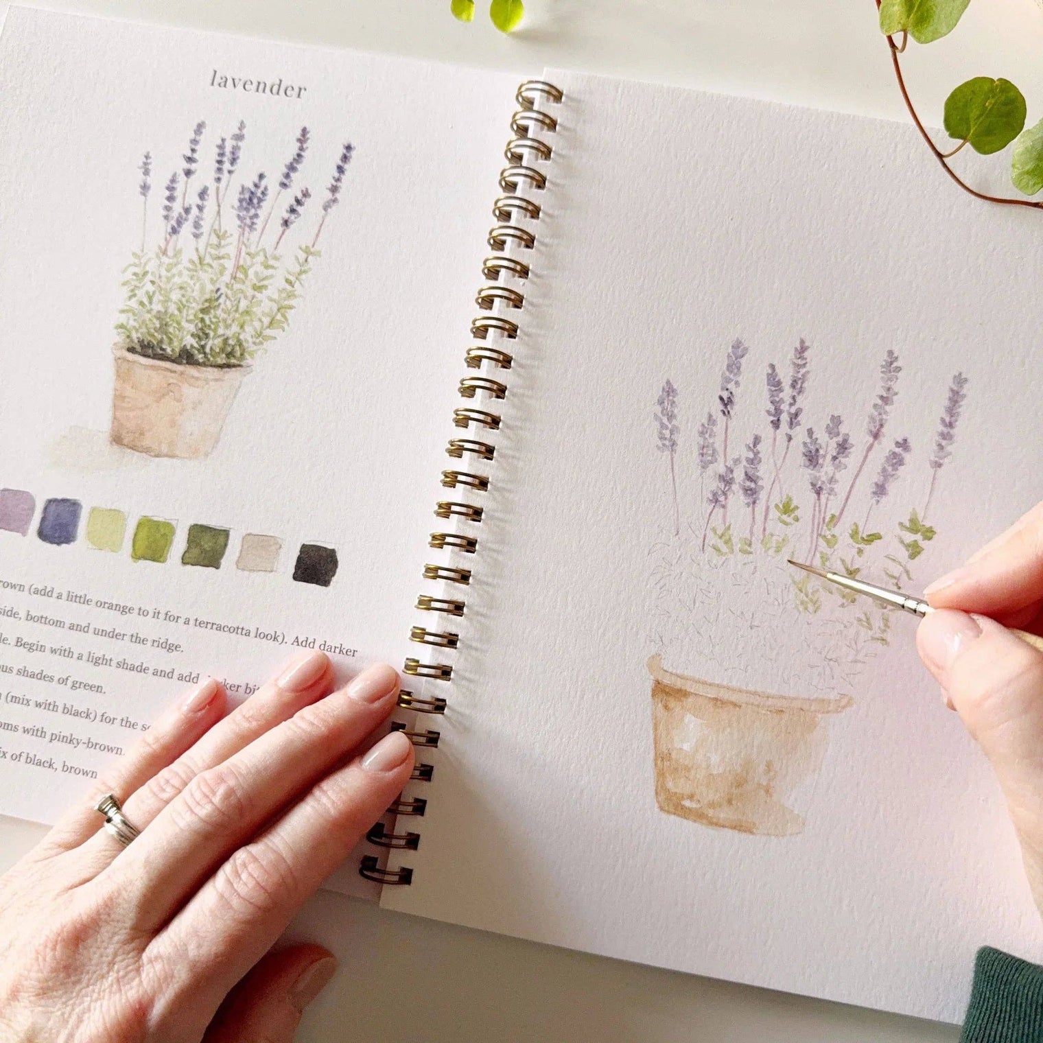 Emily Lex Studios - Garden Watercolor Workbook