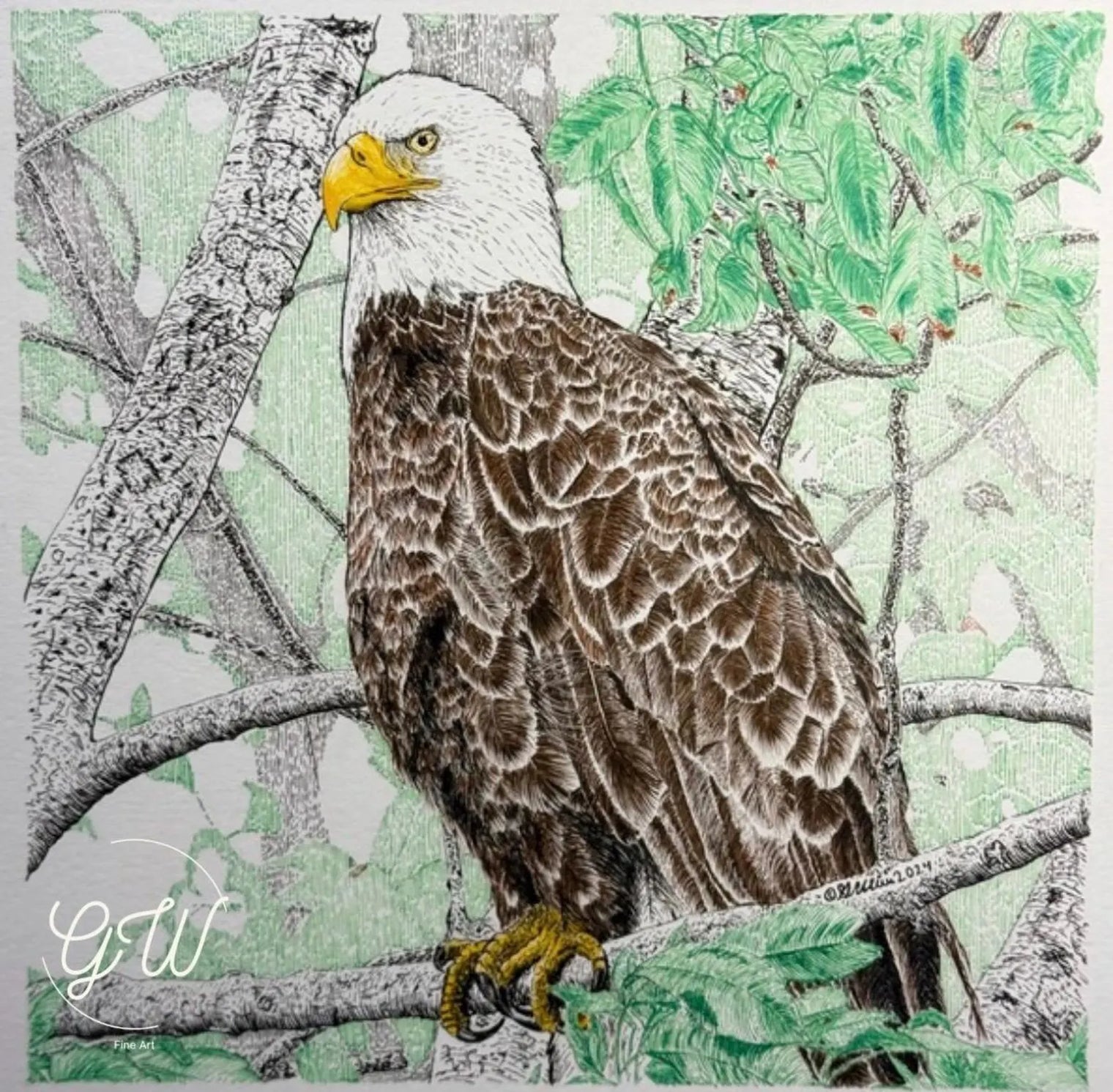 Eagle in Nyanza Card - Grayden Weir Art