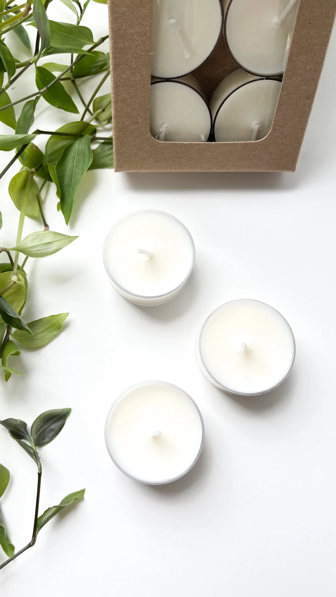 Unscented Soy Wax Tealight Candles - 6 Pack