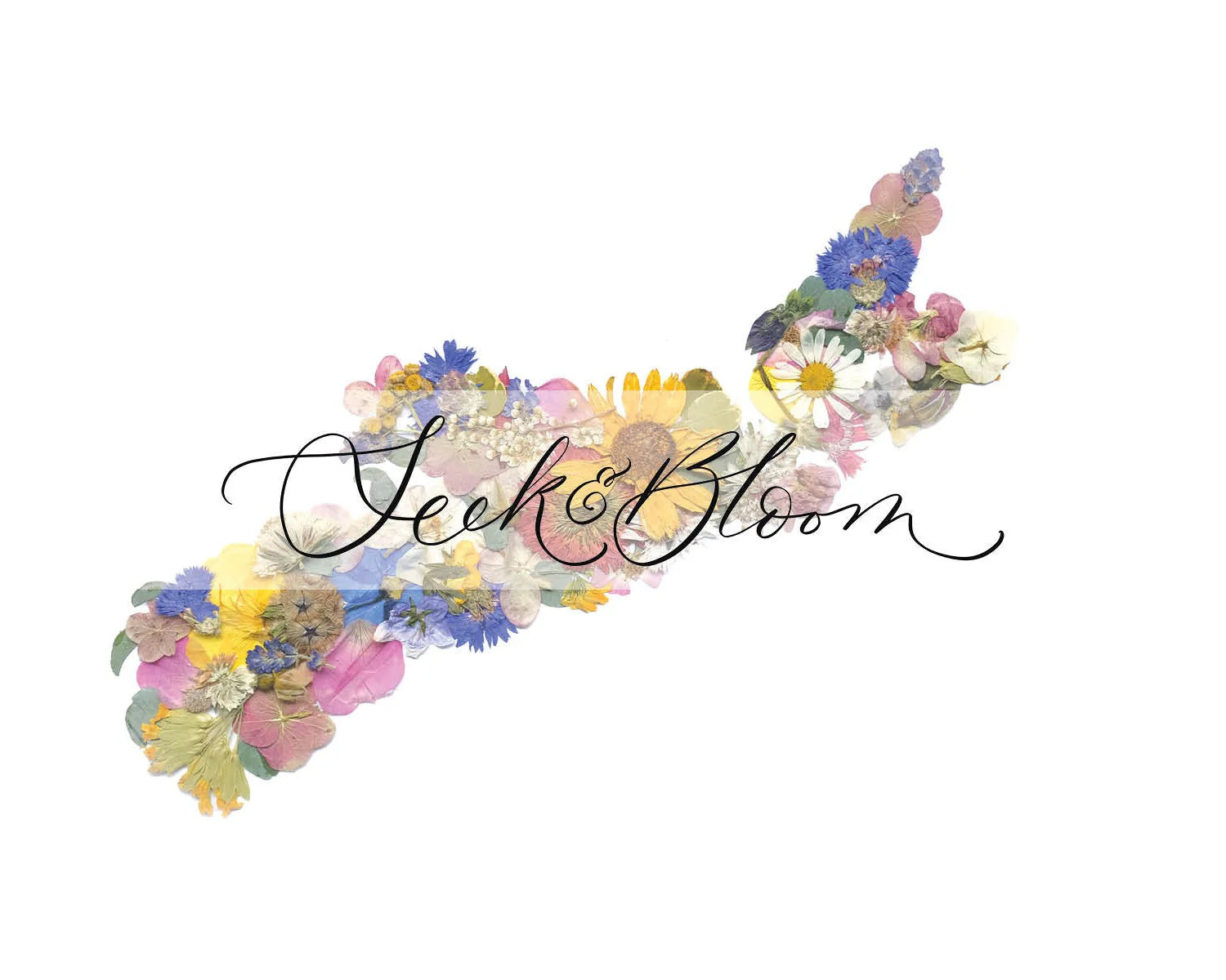 Seek & Bloom - Nova Scotia Pressed Flower Map - 8X10 Print