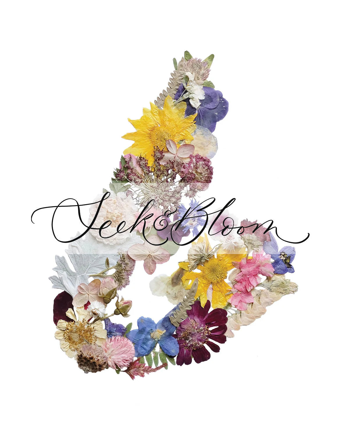 Seek & Bloom - Cape Breton Flower Map Art Print - 8x10