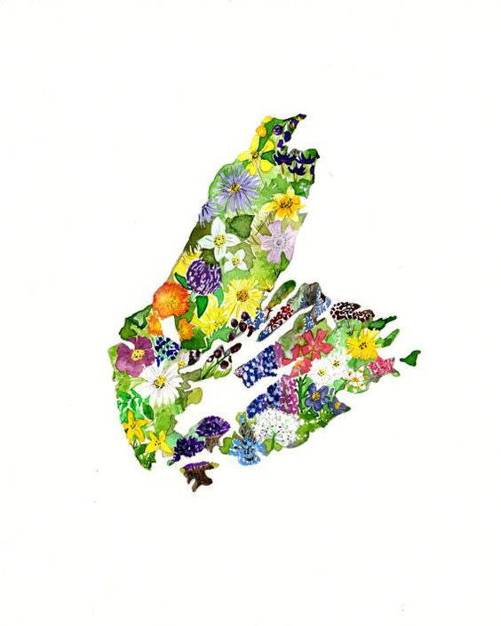 Wildflowers of Cape Breton Print