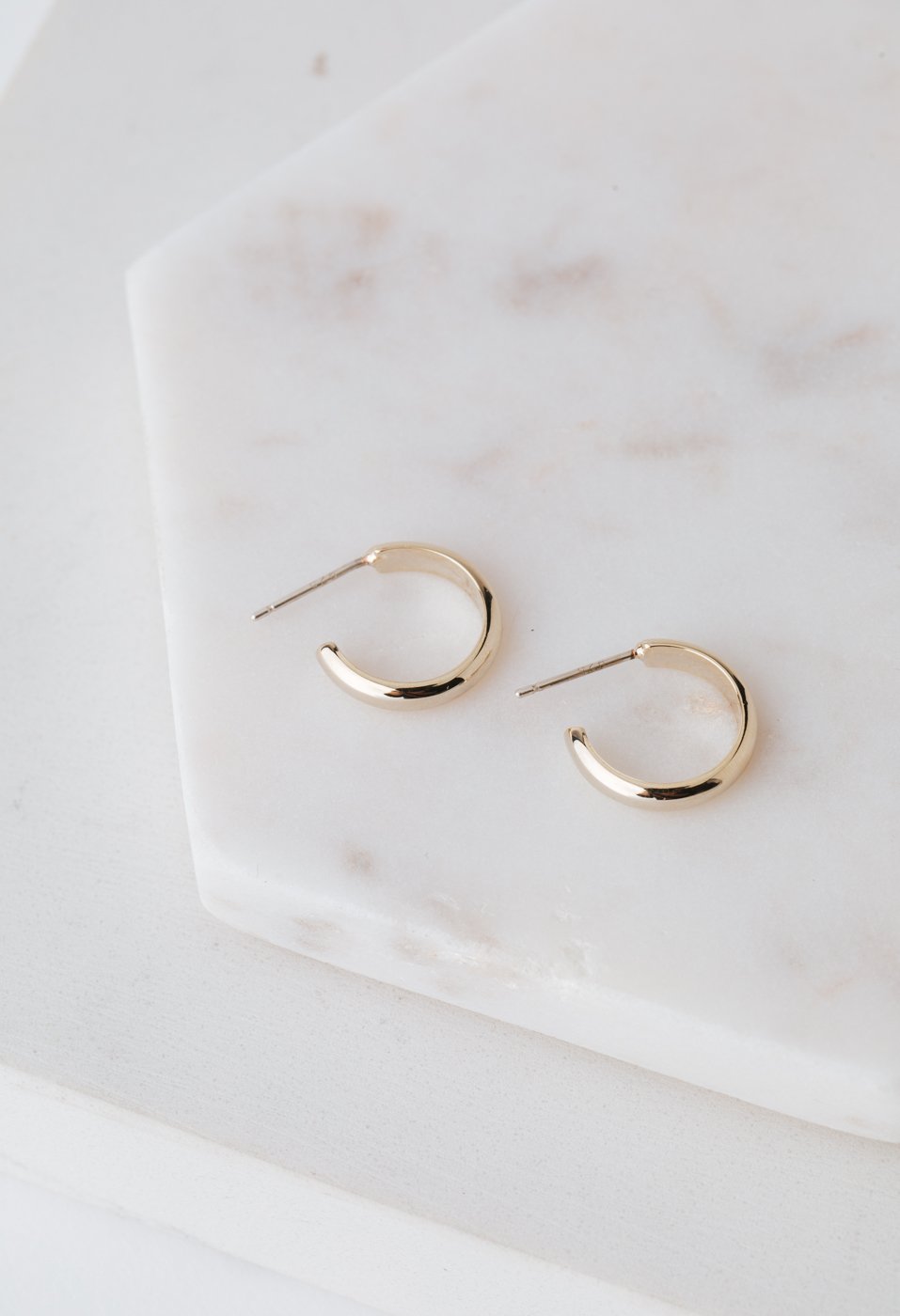 Silvia Hoop Earrings