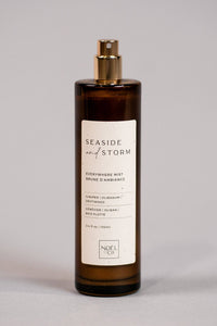 Noël & Co. - Everywhere Mist - Seaside & Storm