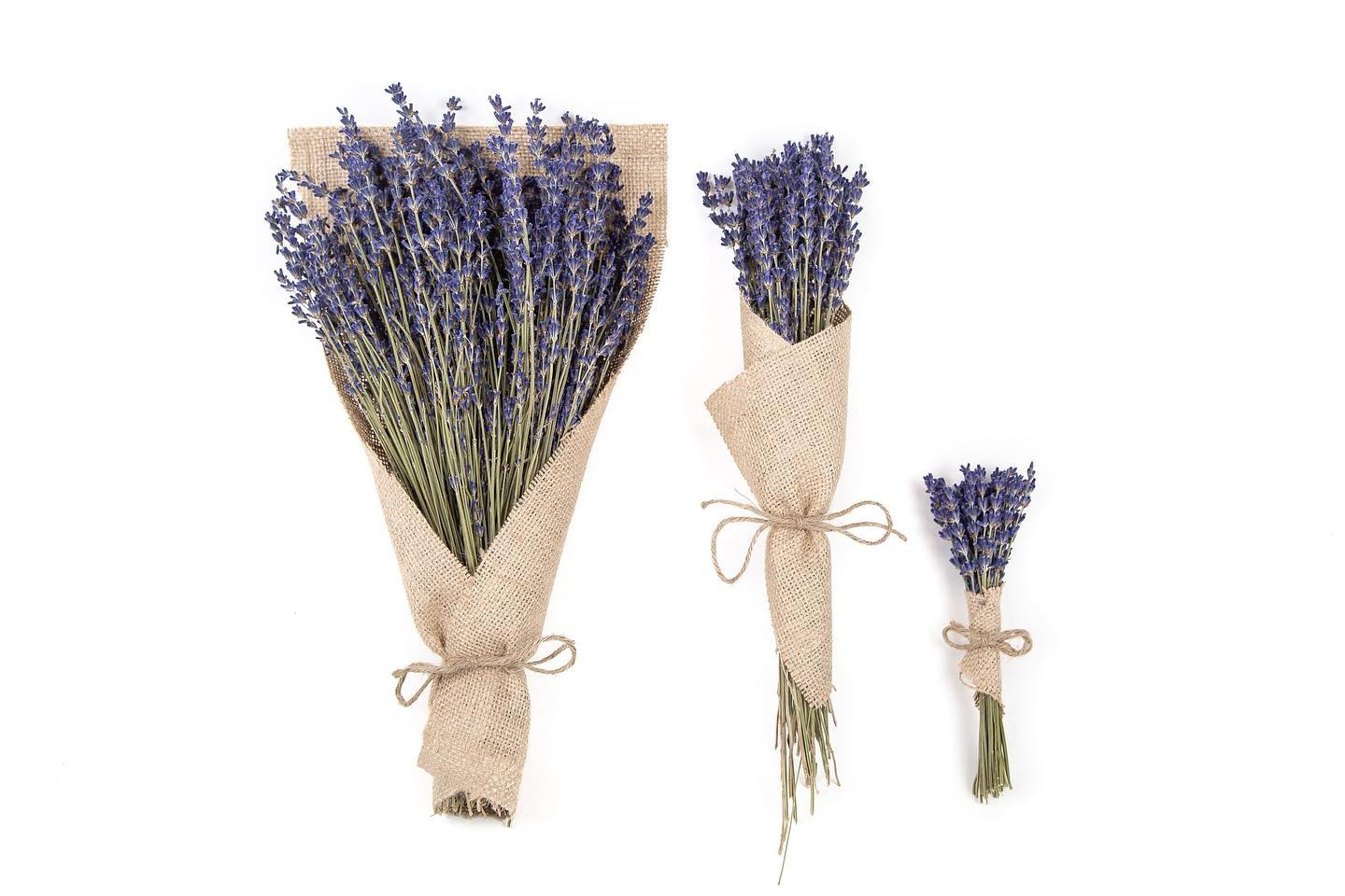 Dried French Lavender Bouquets