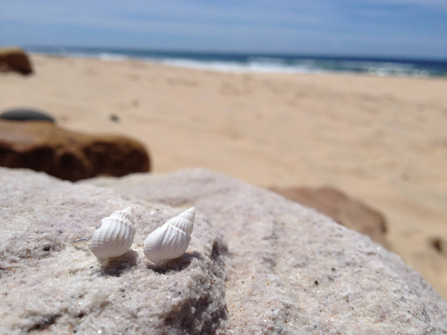 Bridget Turner Jewellery - White Periwinkle Shell Studs in Silver