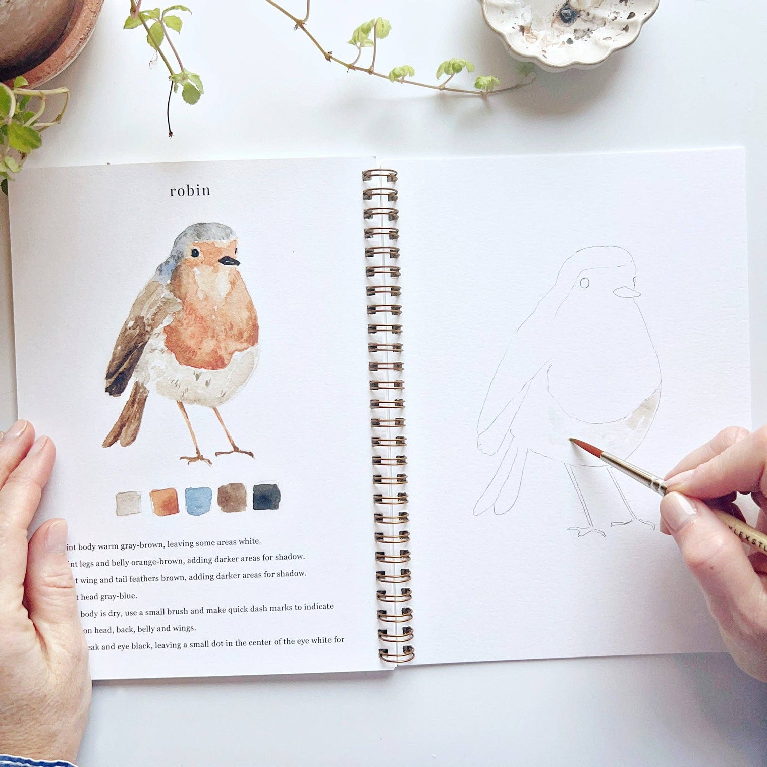 Birds Watercolour Workbook