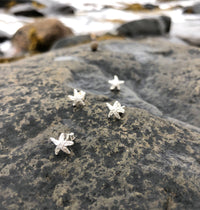 Bridget Turner Jewellery - Mini Sea Star Earrings in Silver