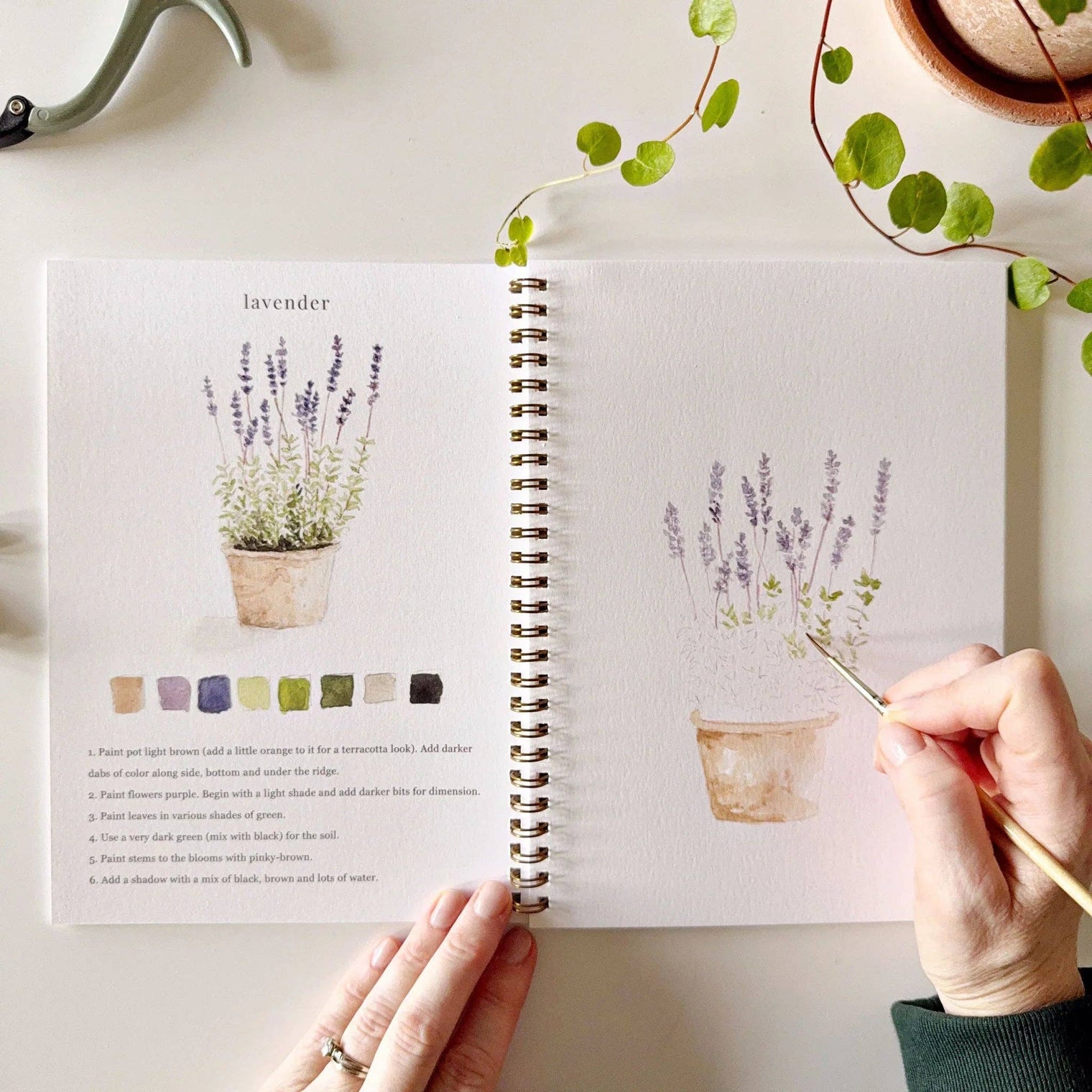Emily Lex Studios - Garden Watercolor Workbook