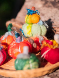 Magic of Wool - Felted Pumpkins