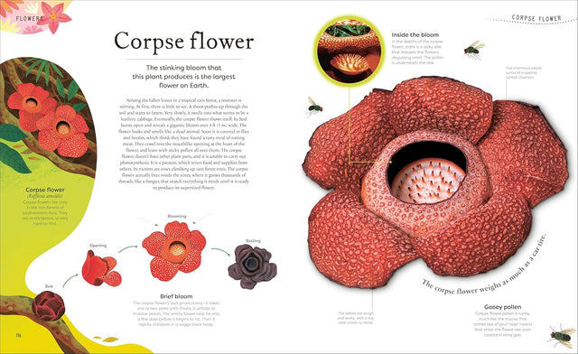 The Secret World of Plants: Tales of More Than 100 Remarkable Flowers, Trees, and Seeds