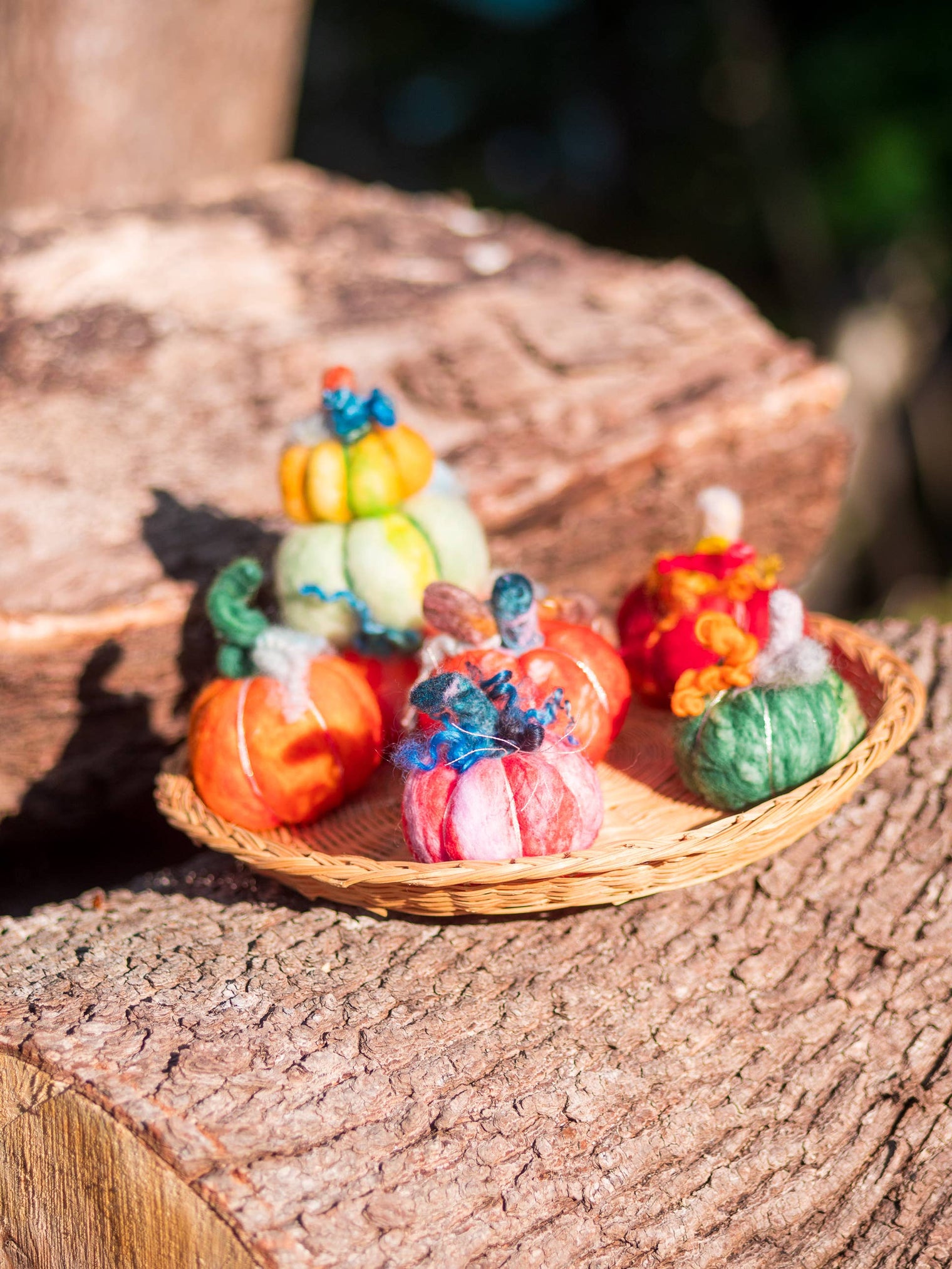Magic of Wool - Felted Pumpkins