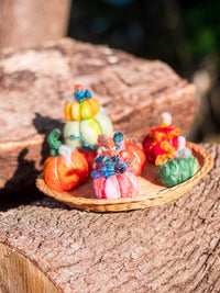 Magic of Wool - Felted Pumpkins