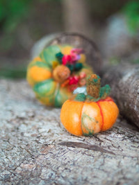 Magic of Wool - Felted Pumpkins