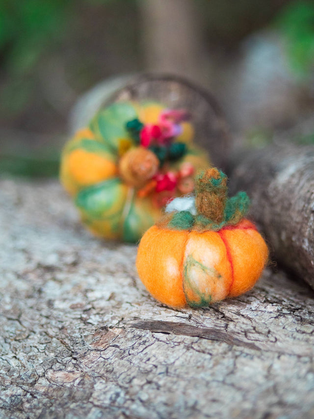 Magic of Wool - Felted Pumpkins