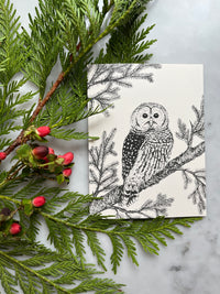 Hand Drawn Christmas Cards