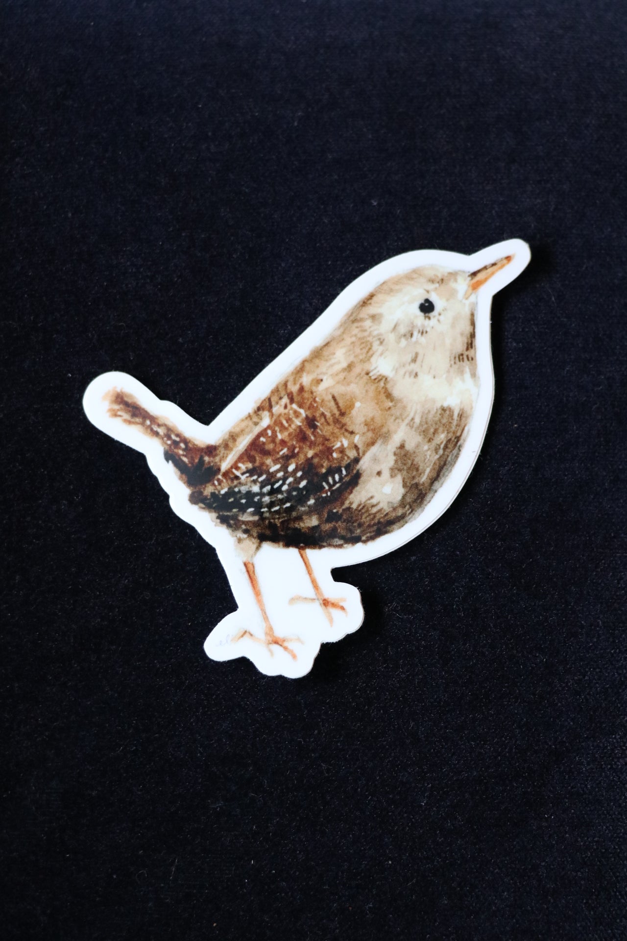 Emily Lex Studio - Wren Sticker