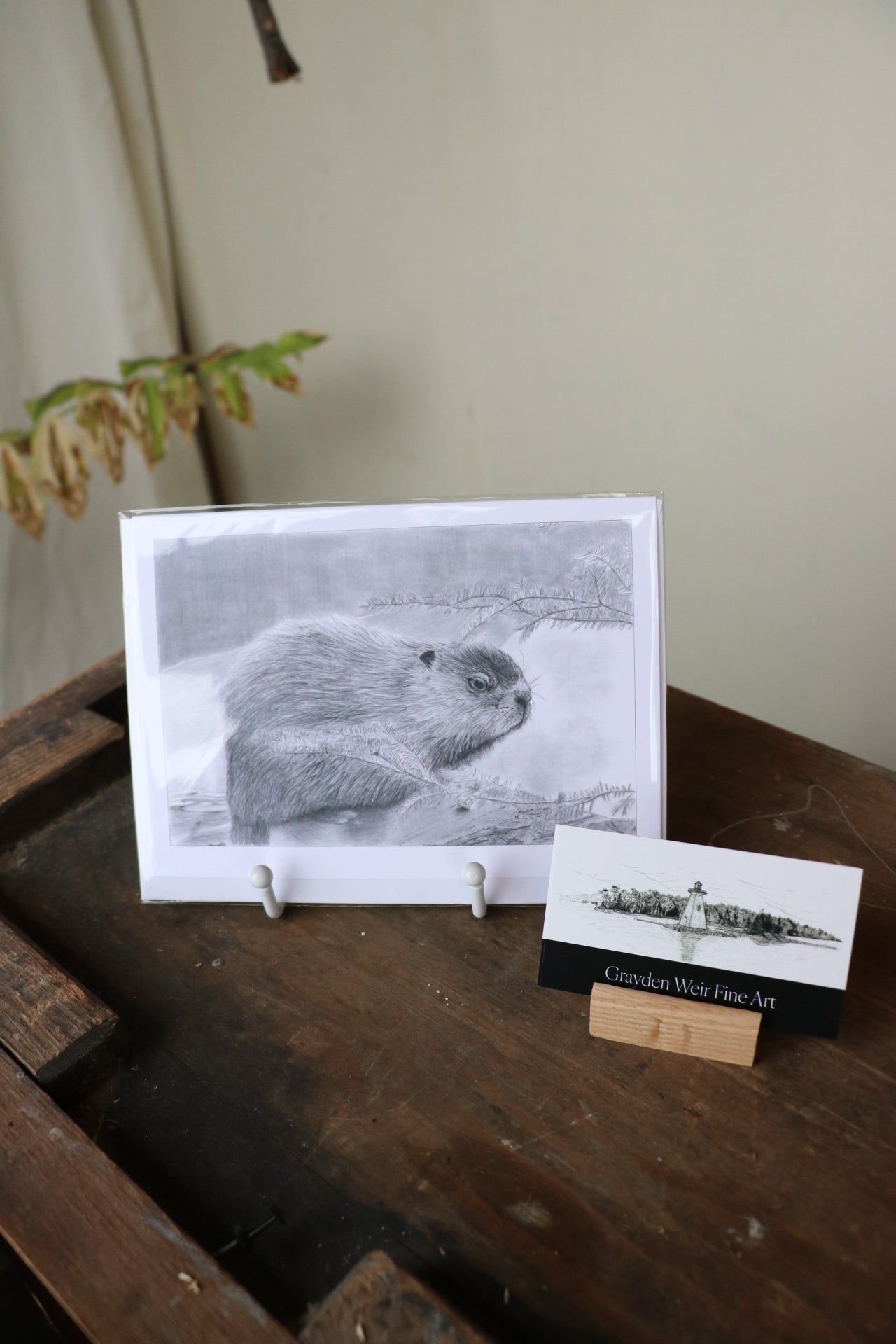Two River Wildlife Park Beaver Card -  Grayden Weir Art