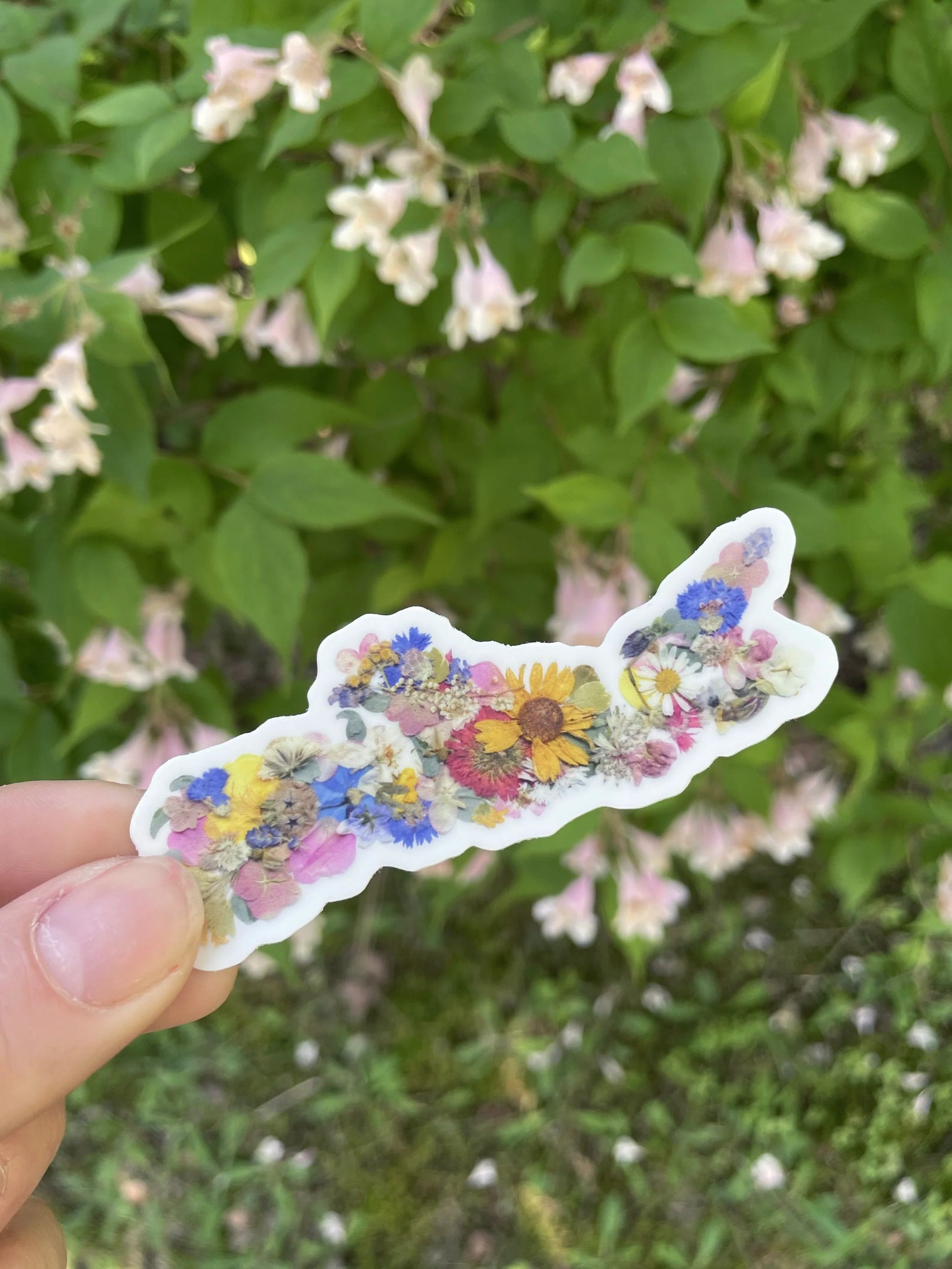 Seek & Bloom - Nova Scotia Pressed Flower Map - Sticker