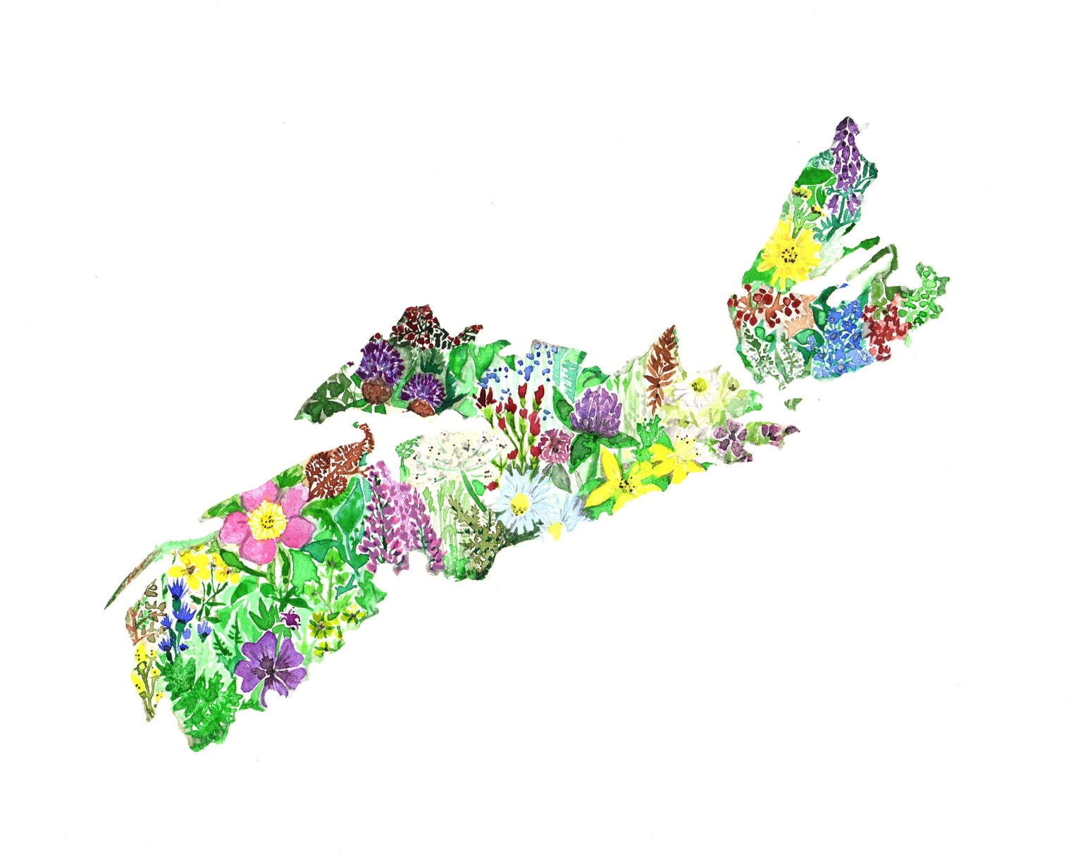 Wildflowers of Nova Scotia Print