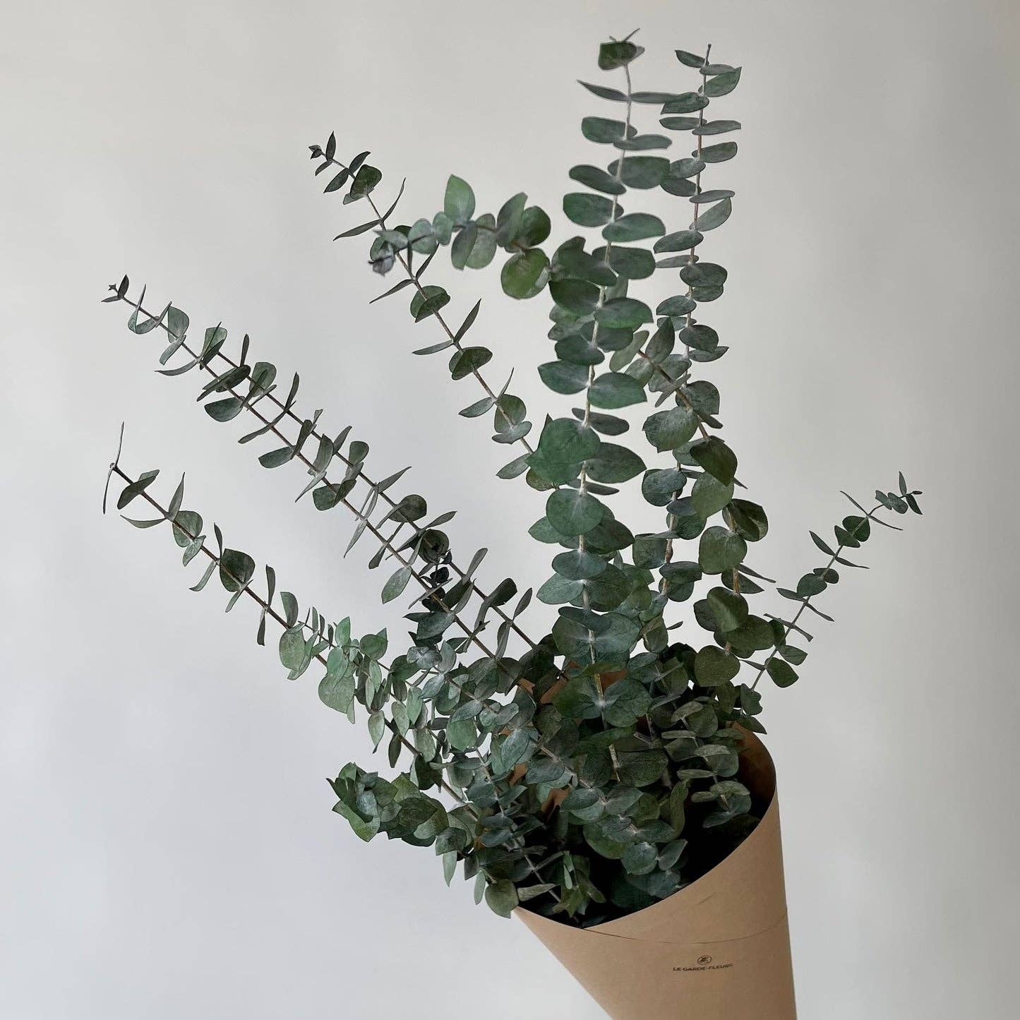 Le Garde-Fleurs - Eucalyptus