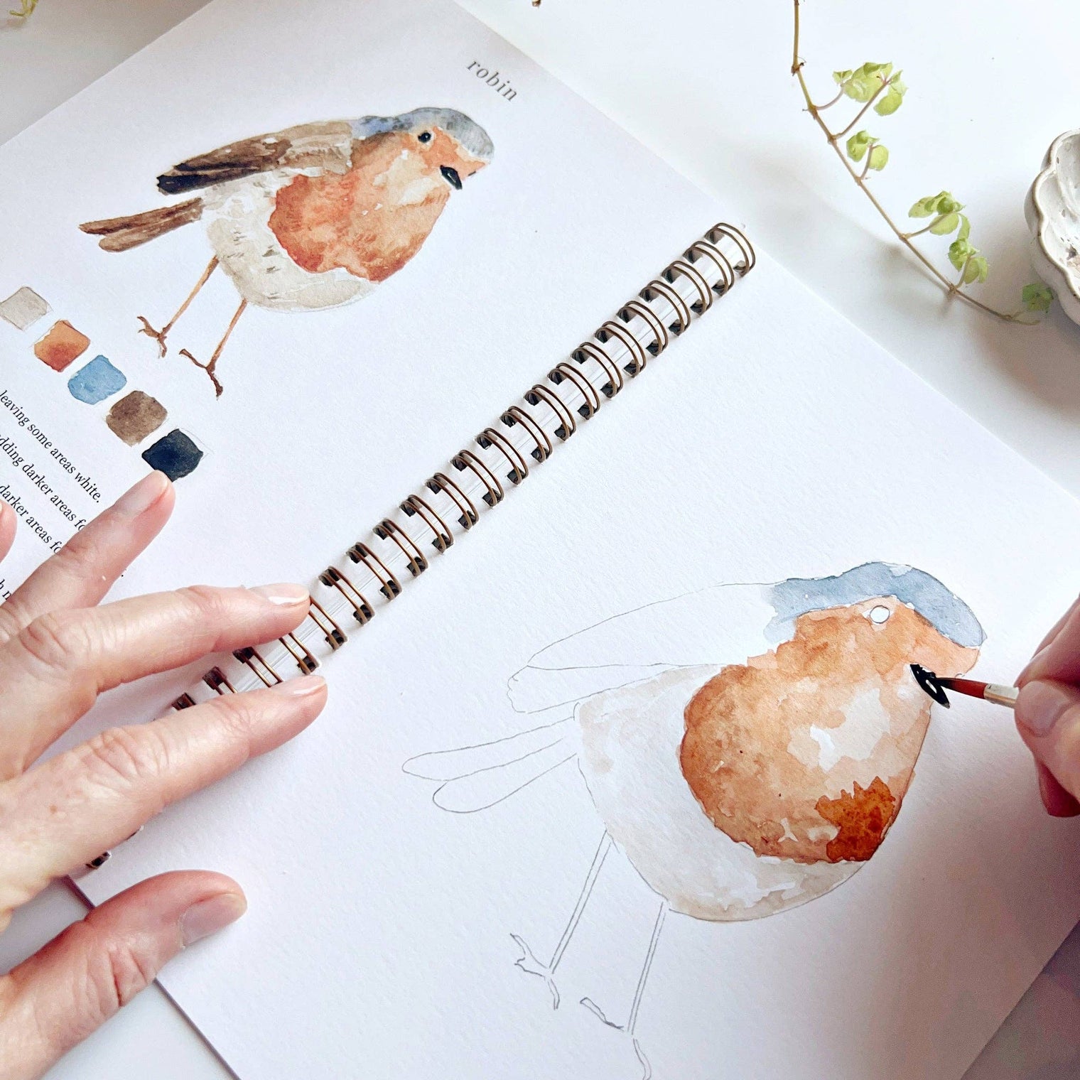 Birds Watercolour Workbook
