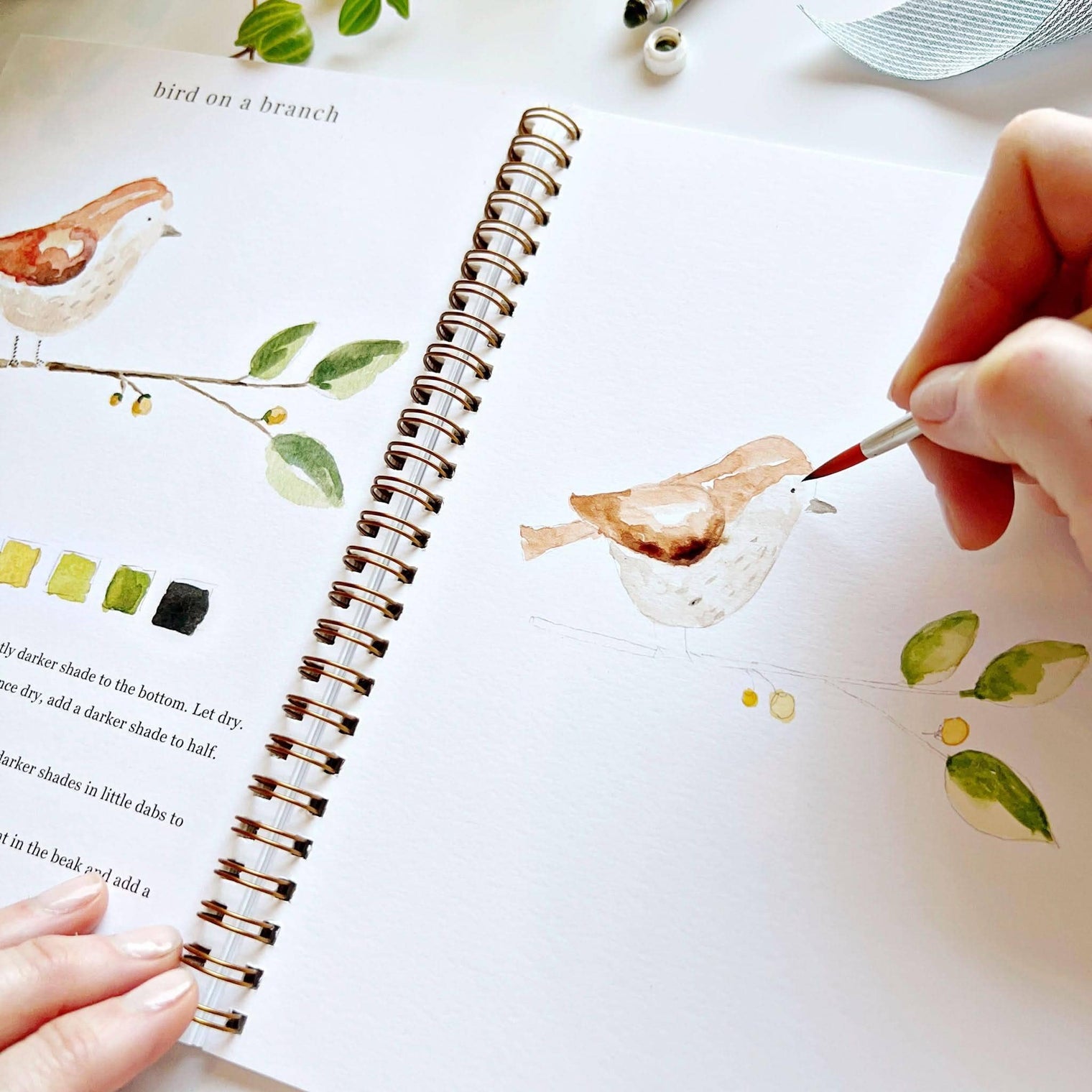 Emily Lex - Animals Watercolor Workbook