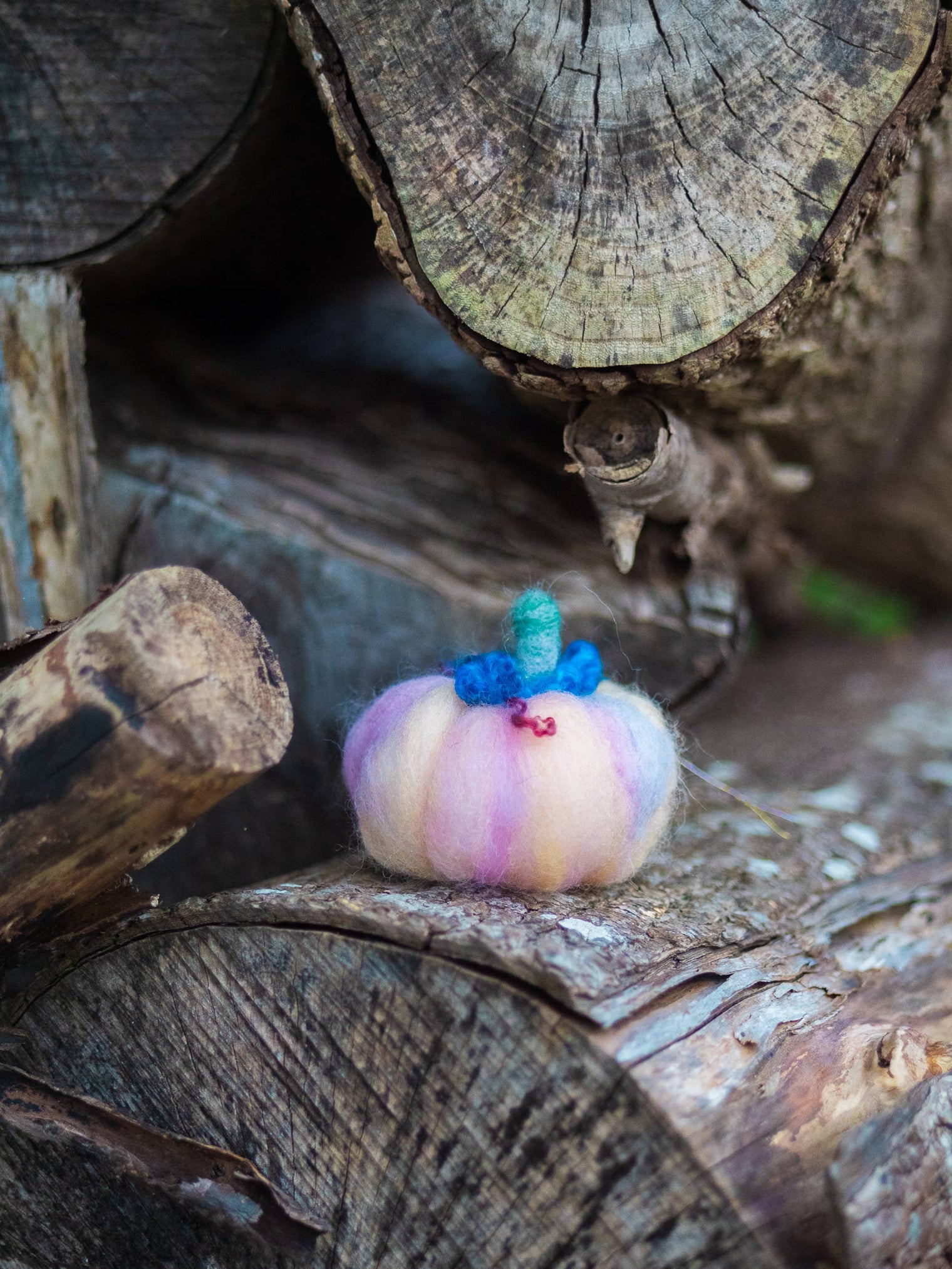 Magic of Wool - Felted Pumpkins