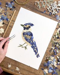 Seek & Bloom - Pressed Flower Blue Jay Print - 11x14
