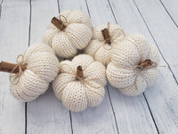 I’m in the Loop - Knit Pumpkin - 5 Colours