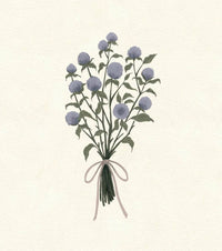 Solange Pilote - Gomphrena