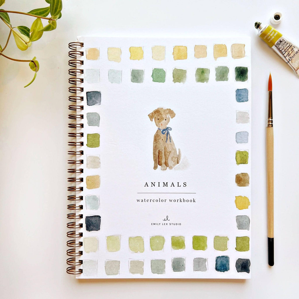 Emily Lex - Animals Watercolor Workbook