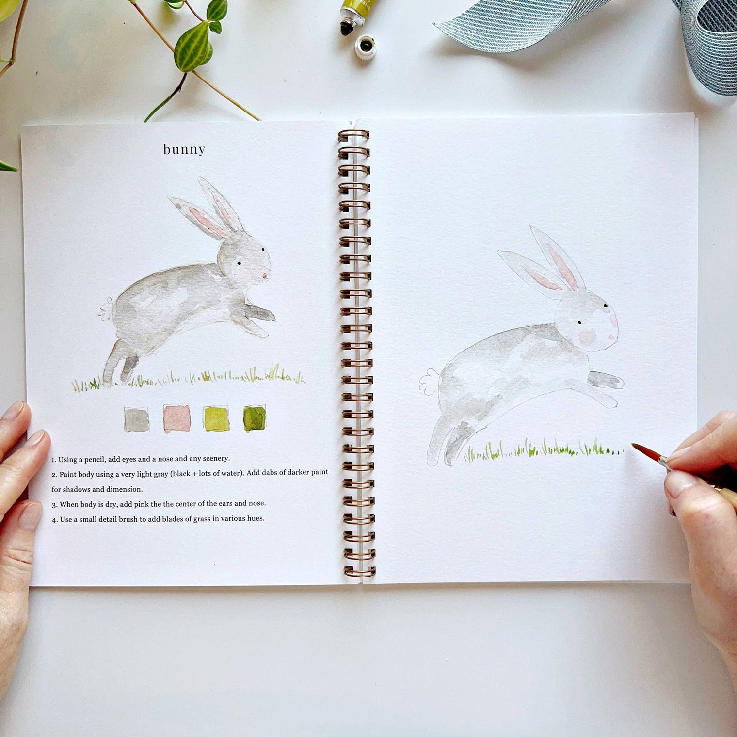 Animals Watercolour Workbook