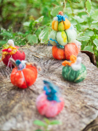 Magic of Wool - Felted Pumpkins