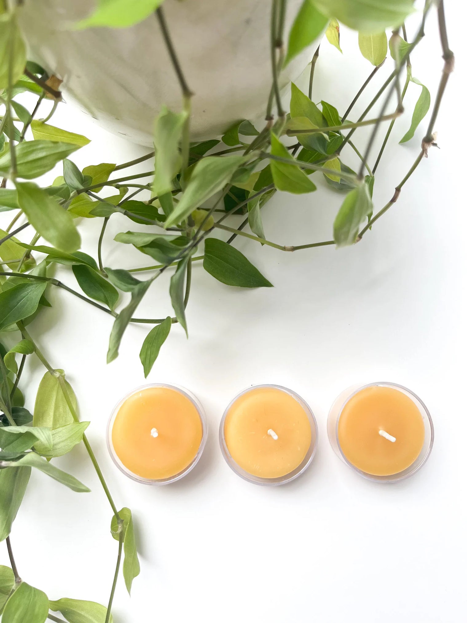 Beeswax Tealights - 6 Pack