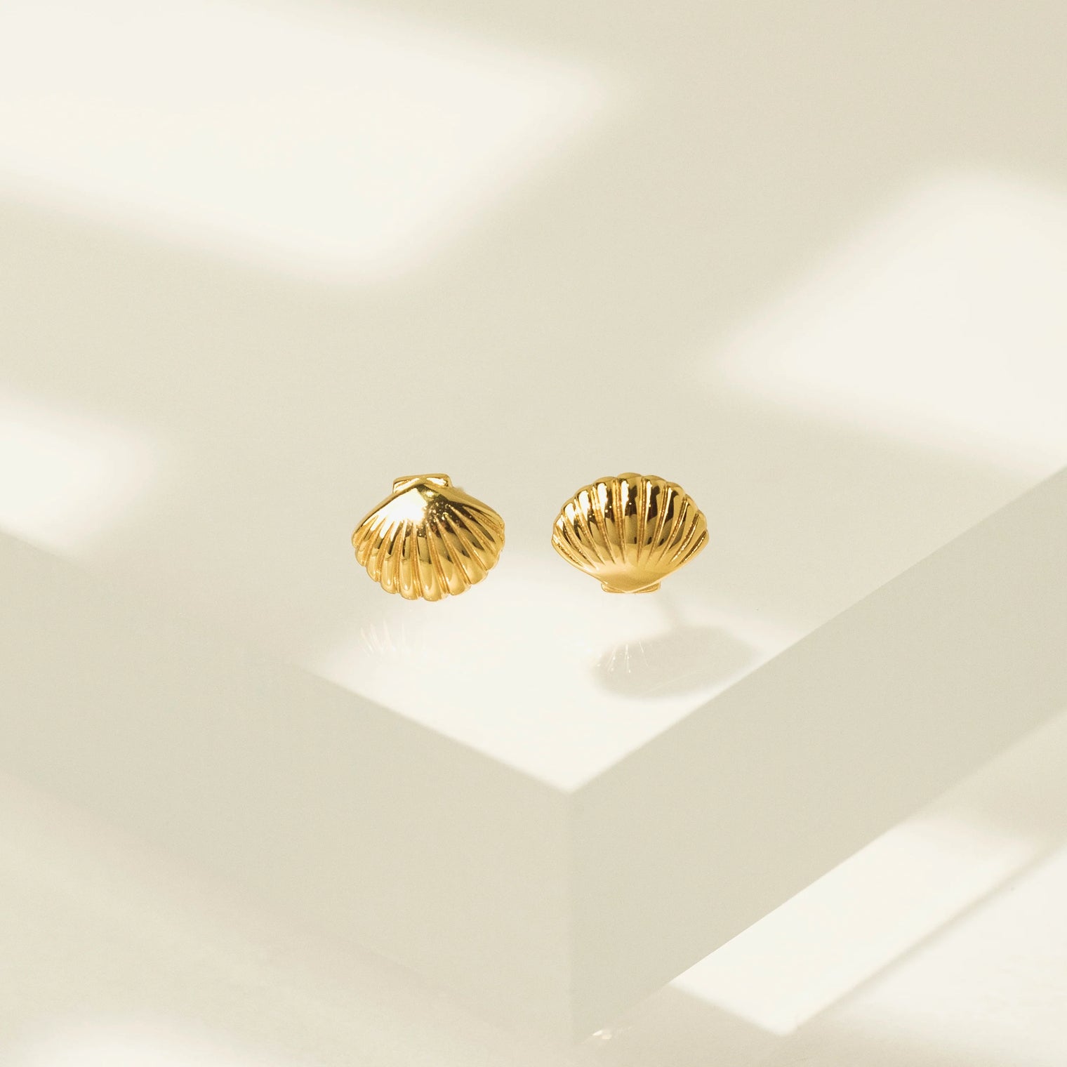Shell Post Earrings