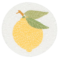 Compostable Sponges