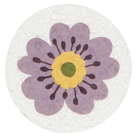 Compostable Sponges